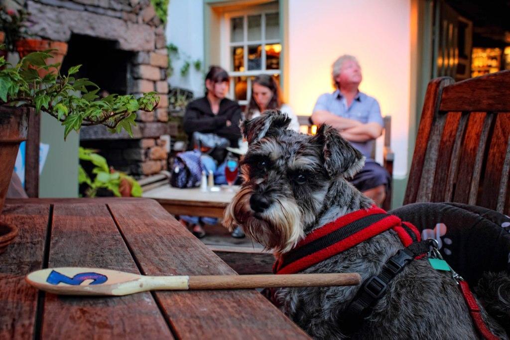 Mason'S Arms Hotel Bowland Bridge Kültér fotó